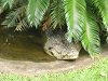 s_A_PICT0061_thumb.png